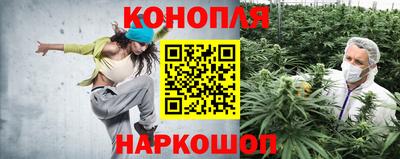 меф Кингисепп