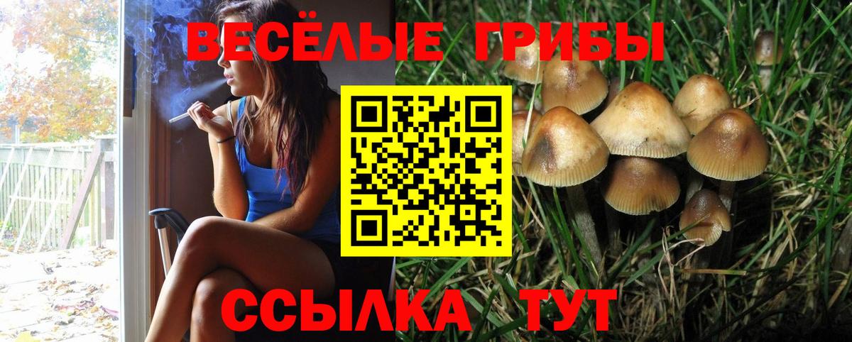 Псилоцибиновые грибы MAGIC MUSHROOMS  Вход с VPN  Азов 